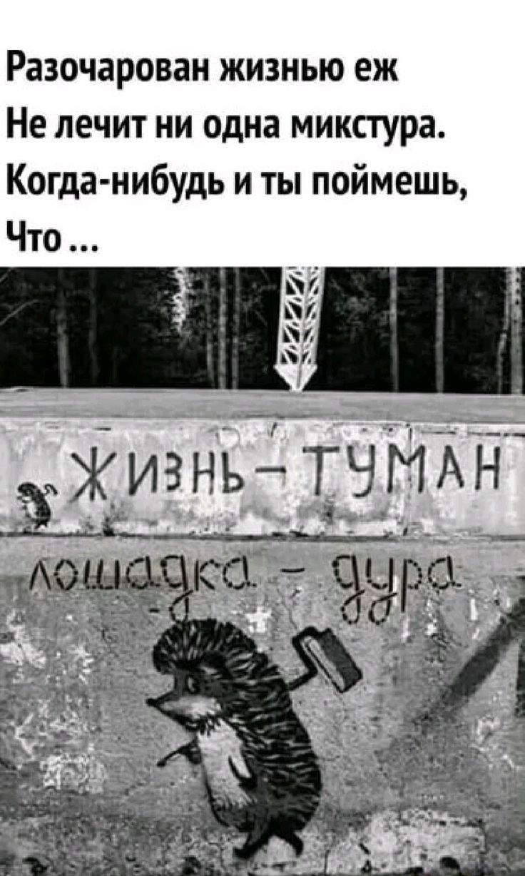 Разочарован жизнью еж
Не лечит ни одна микстура.
Когда-нибудь и ты поймешь,
Что ...

Жизнь – ТУМАН
лошадка – дура