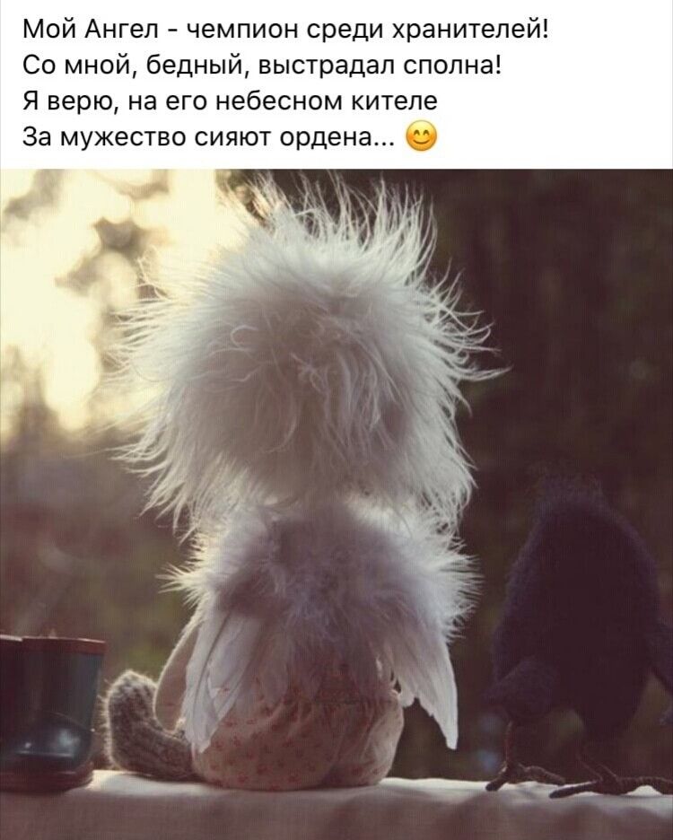 Мой Angel - чемпион среди хранителей! Со мной, бедный, выстрадал сполна! Я верю, на его небесном кителе За мужество сияют ордена...