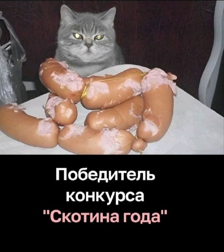 Победитель конкурса 