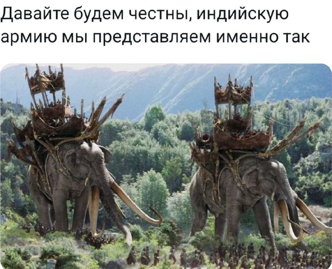 Давайте будем честны, индийскую армию мы представляем именно так