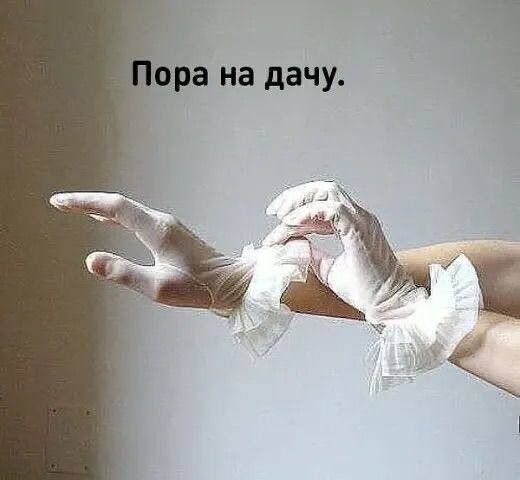 Пора на дачу.