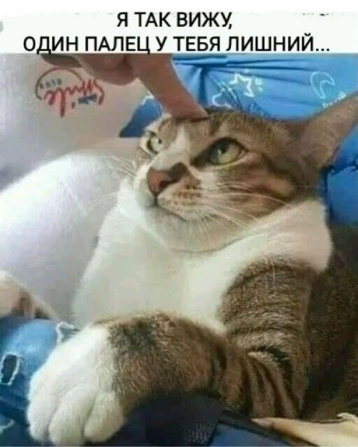 Я ТАК ВИЖУ, ОДИН ПАЛЕЦ У ТЕБЯ ЛИШНИЙ...