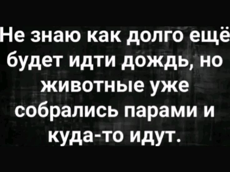 Не знаю как долго ещё будет идти дождь, но животные уже собрались парами и куда-то идут.