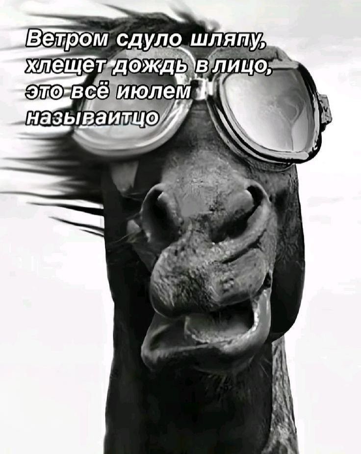 Ветром сдуло шляпу, хлещет дождь в лицо, это всё юлем называйтицо