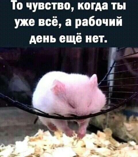 То чувство, когда ты уже всё, а рабочий день ещё нет.