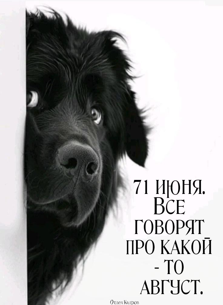 71 ИЮНЯ. ВСЕ ГОВОРЯТ ПРО КАКОЙ - ТО АВГУСТ.