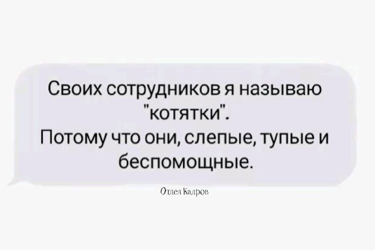 Своих сотрудников я называю 