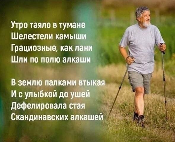 Утро таяло в тумане Шелестели камыши Грациозные, как лани Шли по полю алкаши В землю палками втыкaя И с улыбкой до ушей Дефeлеровала стая Скандинавских алкашей