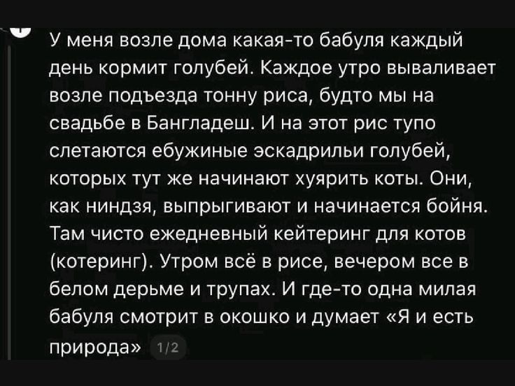 У меня возле дома какая‑то бабуля каждый день кормит голубей. Каждое утро вываливает возле подъезда тонну риса, будто мы на свадьбе в Бангладеш. И на этот рис тупо слетаются ебужинe эскадрил голубей, которых тут же начинают хуярить. Они, как ниндзя, выпрыгивают и начинается бойня. Там чисто ежедневный кетейтеринг для котов (котерин). Утром всё в рисе, вечером всё в белом дерме и трупах. И где‑то одна милая бабуля смотрит в окошко и думает «Я и есть природа»