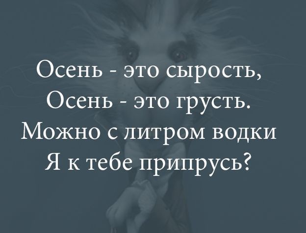 Осень это сырость Осень это грусть Можно с литром водки Я к тебе припрусь