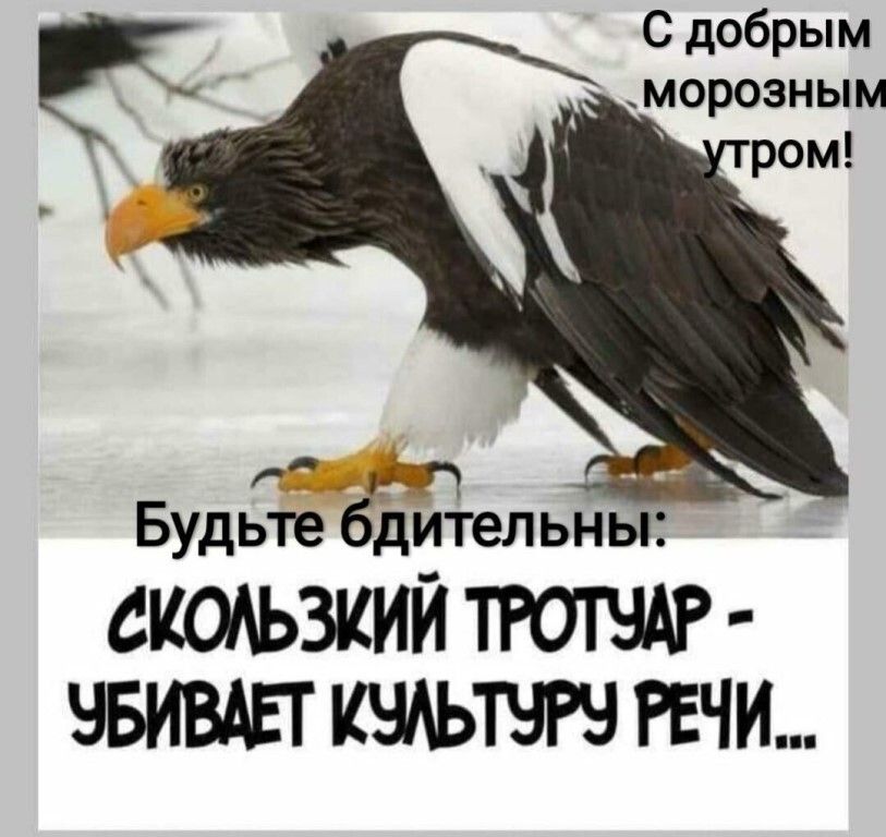 С добрым морозным Р 171 Будьте бдительны СКОАЬЗКИЙ ТРОТЧАР ЧБИВШ РЕЧИ