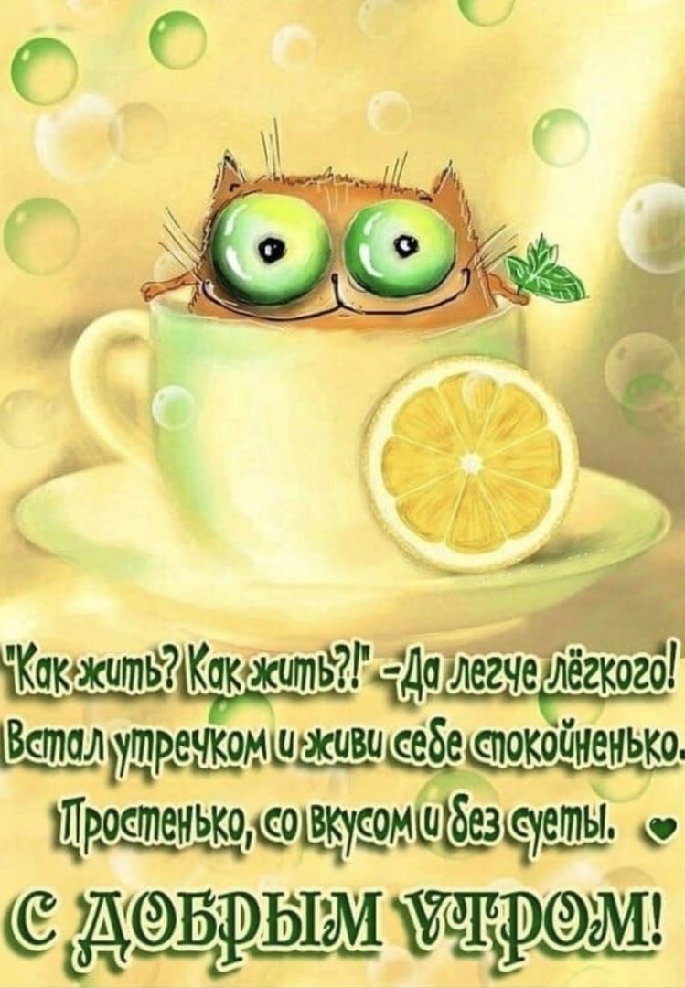 КакохитЁИКокштЙЦ дб легче лёгкого мш Щ0нътмшэе_пш д