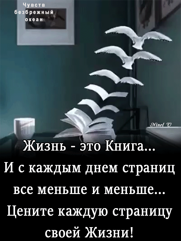 а Жизнь это Книга И с каждым днем страниц все меньше и меньше Цените каждую страницу своей Жизни