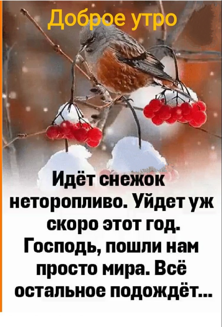 Идёт свежак неторопливо Уйдет уж скоро этот год Господь пошпи нам просто мира Всё остальное подождёт