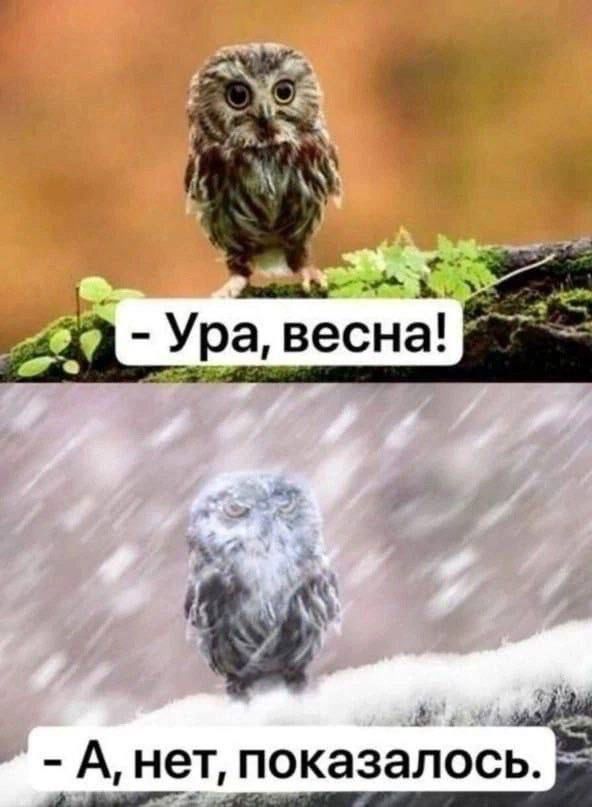 - Ура, весна!
- А, нет, показалось.