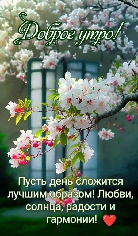 Доброе утро! Пусть день сложится лучшим образом! Любви, солнца, радости и гармонии! ❤️