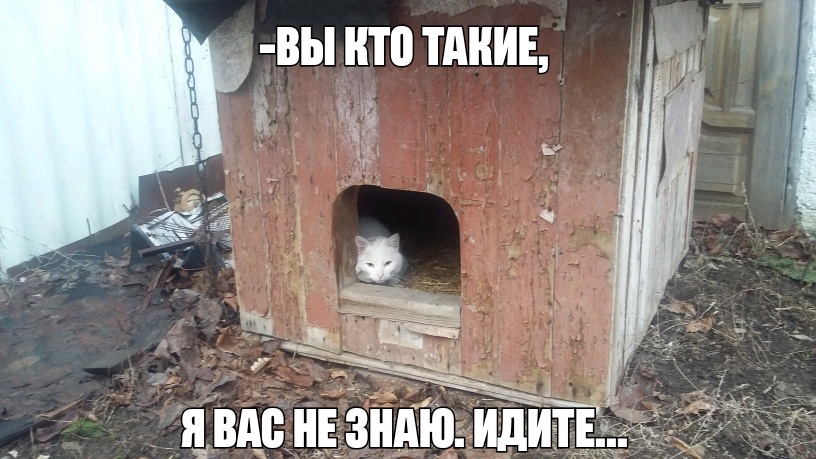 7 Ёі _7 2 д _ двдс_н_і_зндюидитт