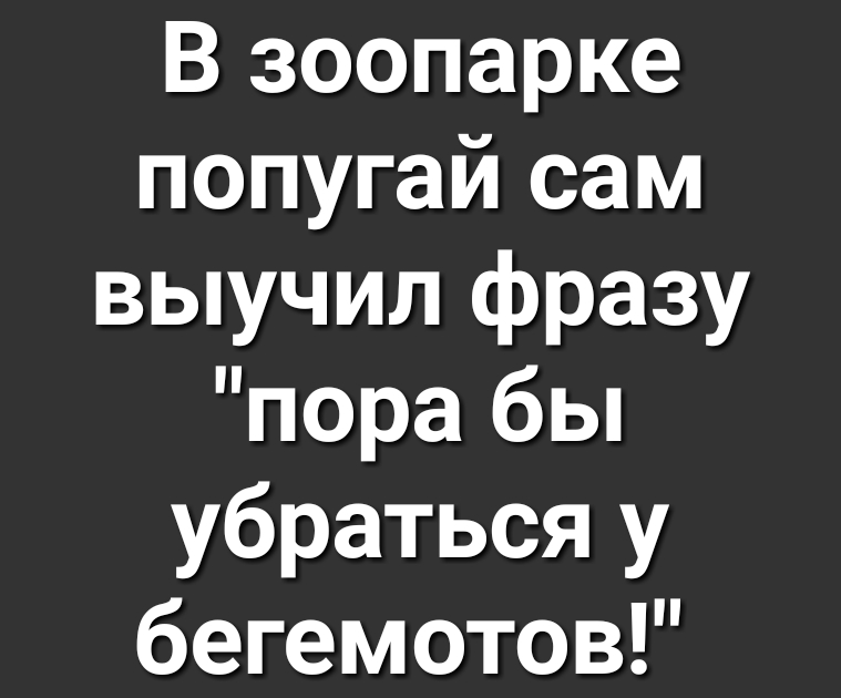 В зоопарке попугай сам выучил фразу пора бы убраться у бегемотов