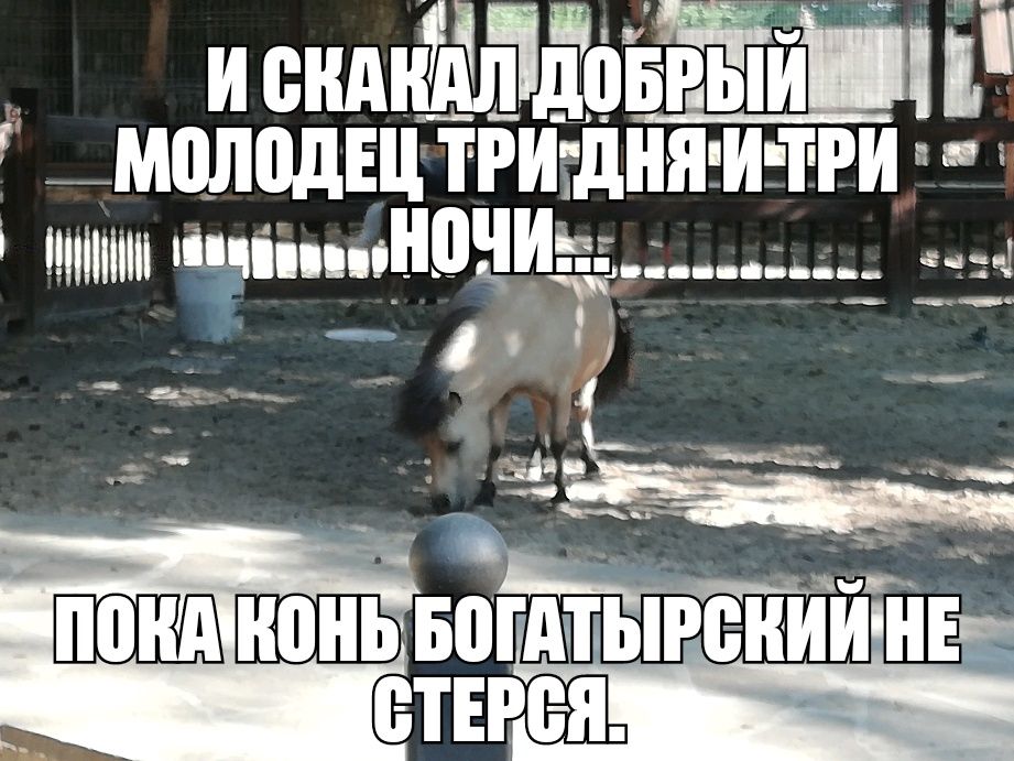 и ендпЁЁШдЪЁЁ й Е г __молодштРИтдняэи три пишиш шиноциэ_____ г _ __чс ц вв ___