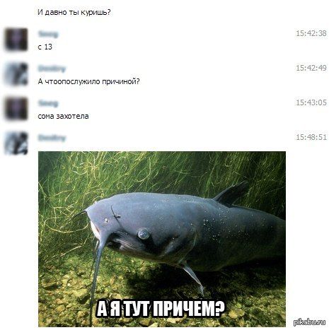 3 я и пенни купишь д чтпппштипп причинит