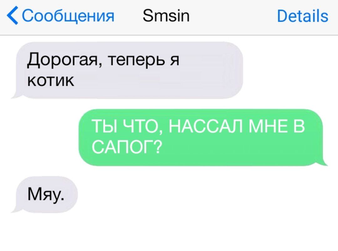 Сообщения Зтзіп Ветаііз дорогая теперь я котик ТЫ ЧТО НАССАЛ МНЕ В САПОГ Мяу