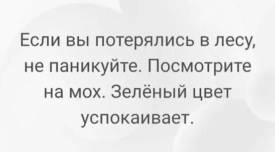 Если вы потерялись в лесу не паникуйте Посмотрите на мох Зелёный цвет успокаивает