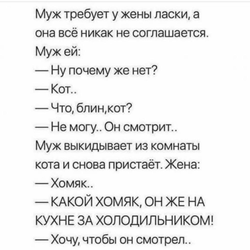 Муж требует у жены ласки а она всё никак не соглашается Муж ей Ну почему же нет Кот Что блинкот Не могу Он смотрит Муж выкидывает из комнаты кота и снова пристаёт Жена Хомяк КАКОЙ хомяк он ЖЕ НА КУХНЕ ЗА ХОЛОДИЛЬНИКОМ Хочу чтобы он смотрел