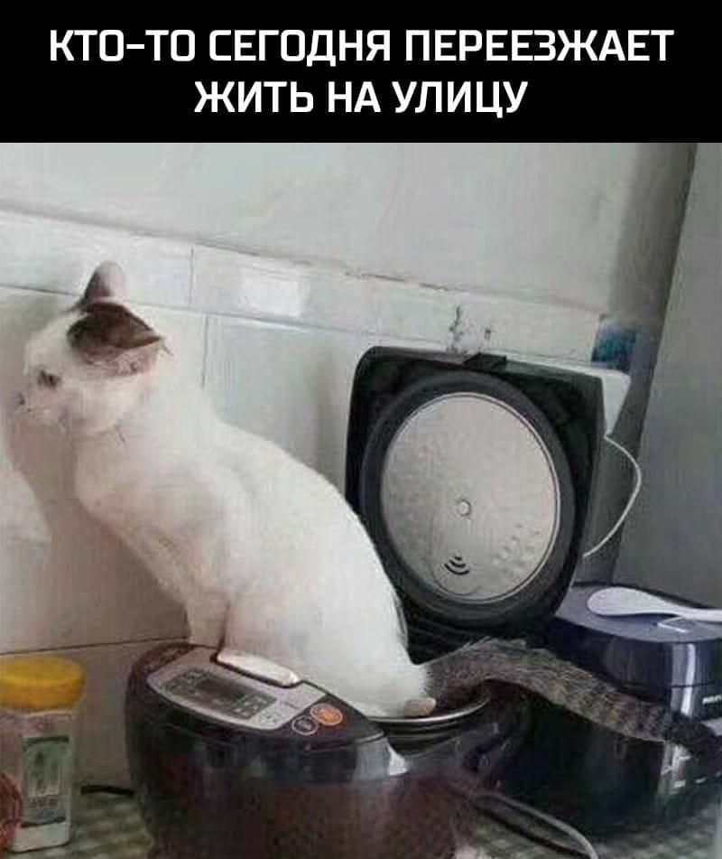 КТОТО СЕГОДНЯ ПЕРЕЕЗЖАЕТ ЖИТЬ НА УЛИЦУ