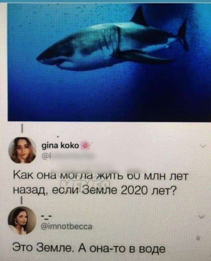 9іпа КоКо в Как ОНа мы на ЖИТЬ 00 млн лет назад если Земле 2020 лет ітпоіЬесса Это Земле А она то в воде
