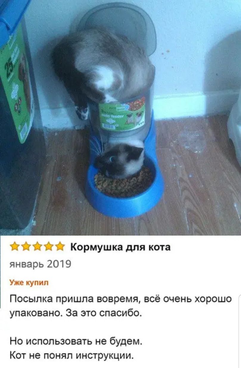 Кормушка для кота январь 2019 купил Посылка пришла вовремя всё очень хорошо упаковано За это спасибо Но использовать не будем Кот не понял инструкции