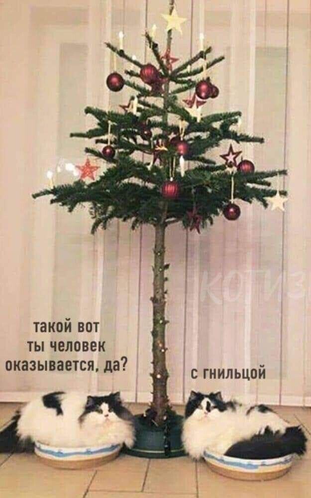 такой вот ты человек оказывается да