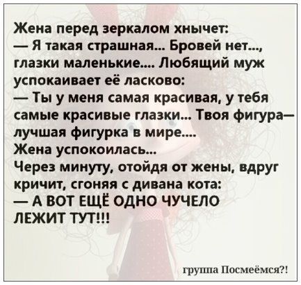 Жена перед зеркалом хиычет _ Я такая страшная Бровей нет глазки маленькие Любящий муж успокаивает её ласково Ты у меня самая красивая у тебя самые красивые глазки Твоя фигура лучшая фигурка в мире Жека УСПОКОИЛЗСЬ Через минуту отойдя от жены вдруг кричит ГОНЯЯ дивана кота А ВОТ ЕЩЁ ОДНО ЧУЧЕЛО ЛЕЖИТ ТУТ группа Посмеемся