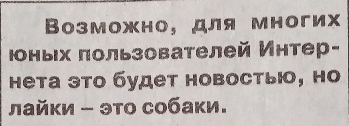 Возможно для многих юных пользователей Интер нета это будет новостью но лайки это собаки