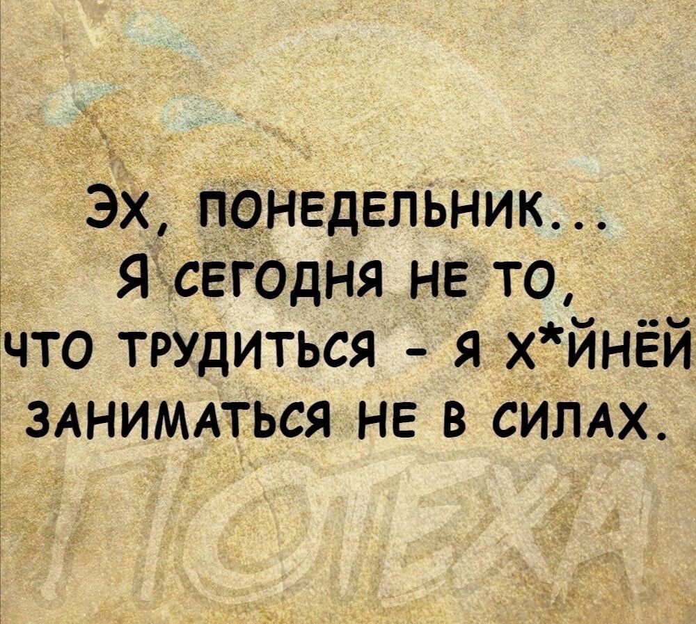 Эх понедельник Ясегодня не то что трудиться я хйнёй зднимдться не в СИПАХ