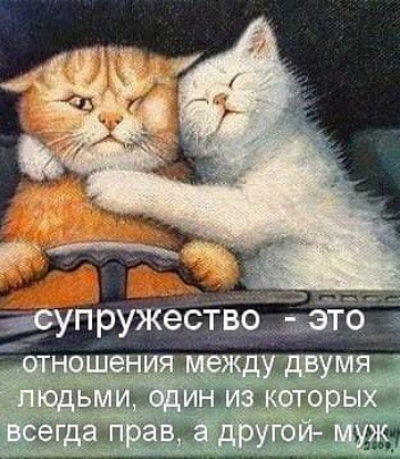 шт и и ь дп