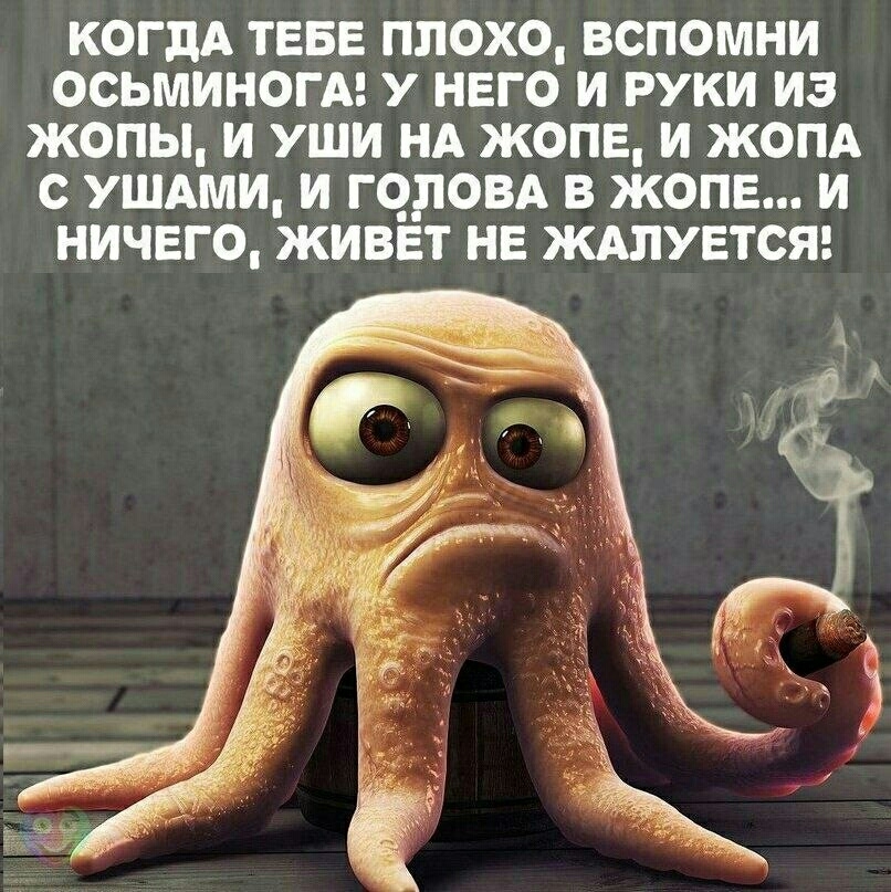 когдА ТЕБЕ плохо вспомни осьминогА у него и руки из жопы и уши НА жопе и жопд с ушдми и гцловд в жопе и ничего живет не ждлувтся