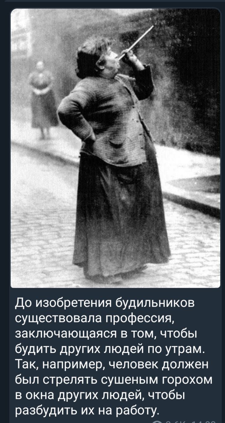 До изобретения будильников существовала профессия заключающаяся в том чтобы будить других людей по утрам Так например человек должен был стрелять сушеным горохом в окна других людей чтобы разбудить их на работу дд