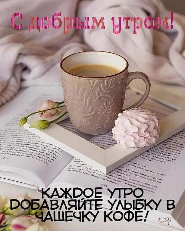 Ёжъ ЁЁ 94