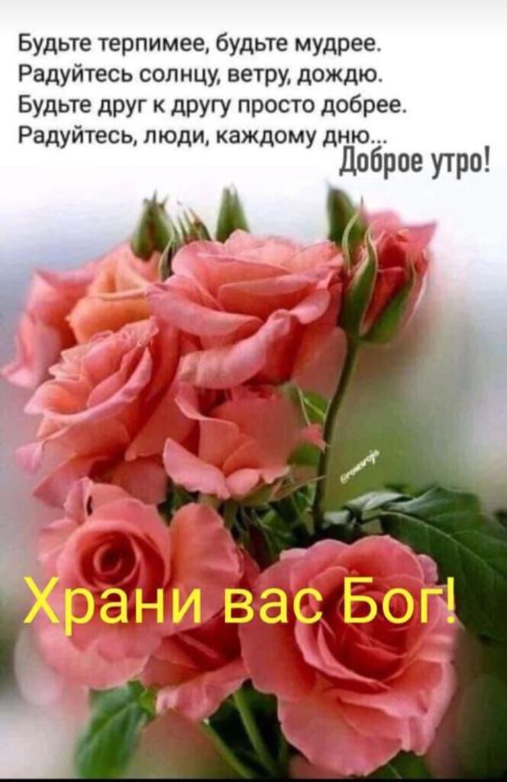 Будьте терпимее будьте мудрее Радуйтесь солнцу ветру дождю Будьте друг другу просто добрее Радуйтесь пюдиА каждому дню доброе утро