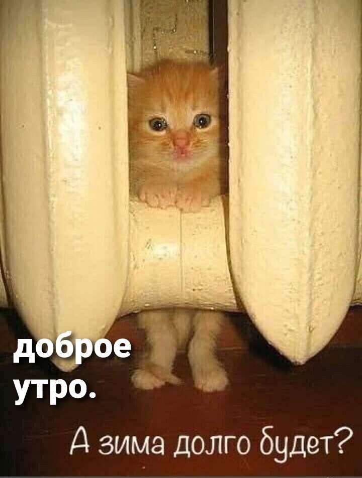 Д зима долго будет