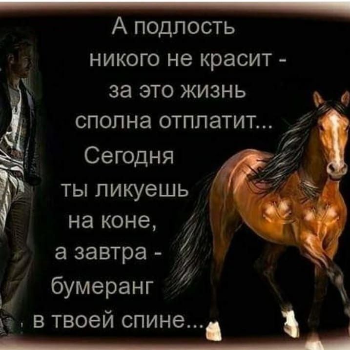 _ А подлость НИКОГО не красит за это жизнь сполна отплатит Сегодня і ты ликуешь на коне 7 а завтра Ч бумеранг 1 д в твоем спине