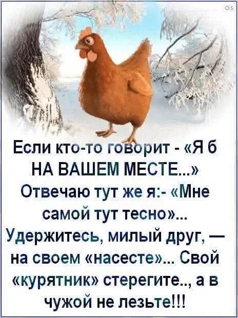 Если кто-то говорит - «Я б на вашем месте...» Отвечаю тут же я:- «Мне самой тут тесно»... Удержитесь, милый друг, — на своем «насесте»... Свой «курятиник» стерегите..., а в чужой не лезьте!!!