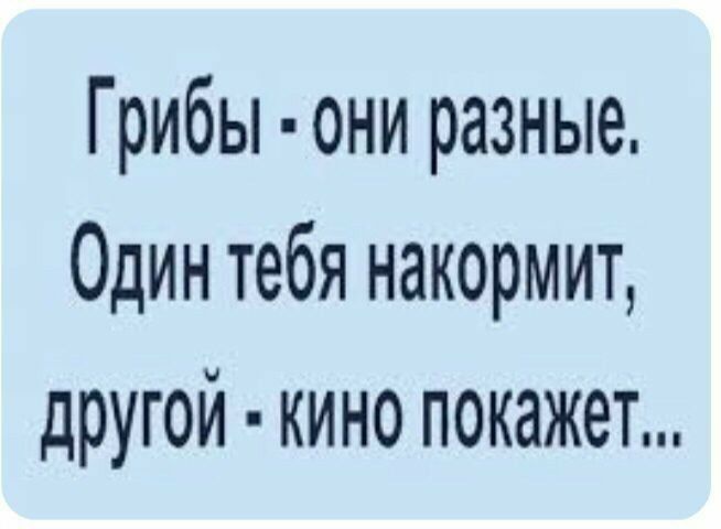 Грибы они разные Один тебя накормит другой кино покажет