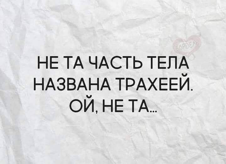 НЕ ТА ЧАСТЬ ТЕЛё НАЗВАЗ іА ТРАХЕЕИ ОИ НЕ ТА