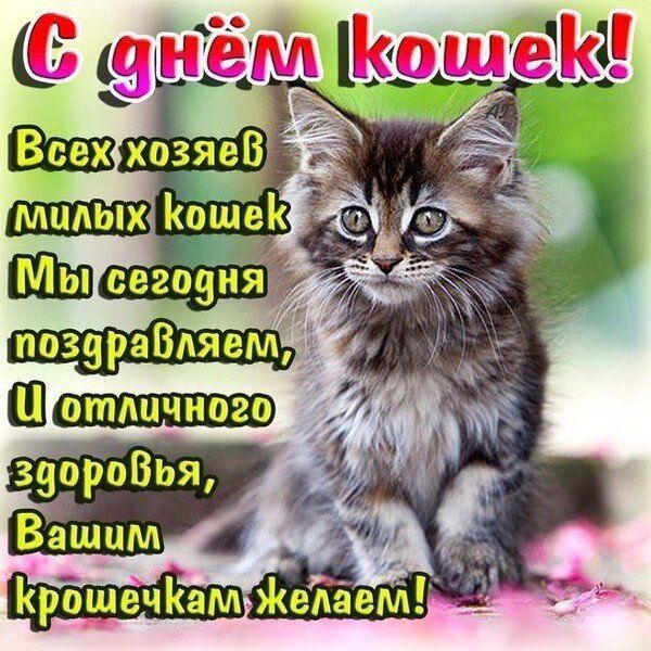 Шадпшпшш я зуароВья Вашим