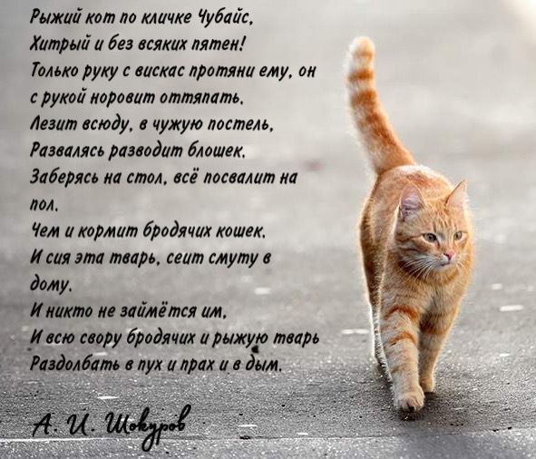 мат чудас бп шт ими ум уху иш лилии му ви груш проти шипит мм иду т имт италии дла тс аш ш шины на ш ними пмк мии или шуму