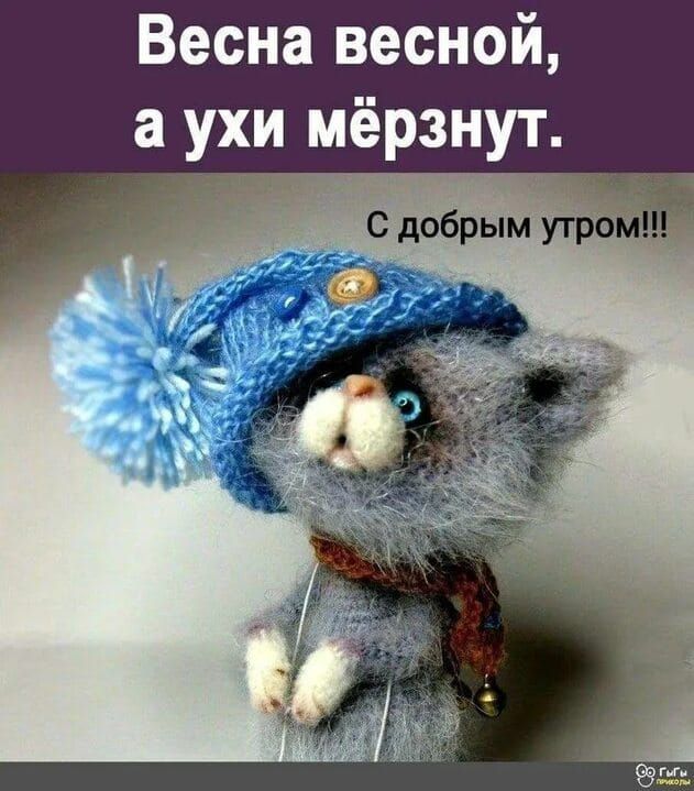 Весна весной а ухи мёрзнут