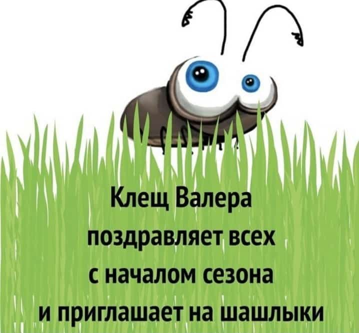 Клещ Валера поздравляет всех с началом сезона и приглашает на шашлыки