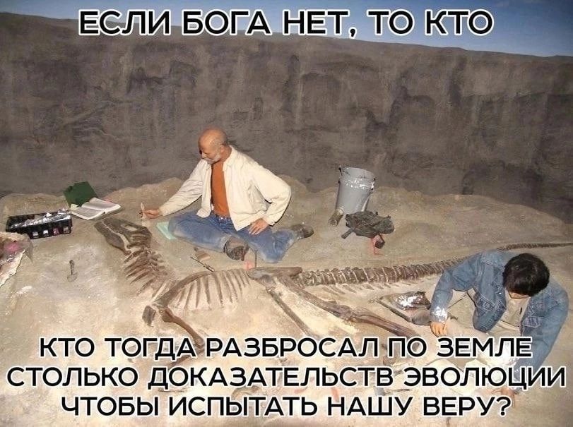 ЕСД ЛИ БОГА НЕТ ТО КТО ТОГДА РАЗБРОСАЛП ЗЕМЛЕ СТОЛЬКО ДОКАЗАТЕЛЬСТВ ЭВОЛЮЦИИ ЧТОБЫ ИСПЫТАТЬ НАШУ ВЕРУ _