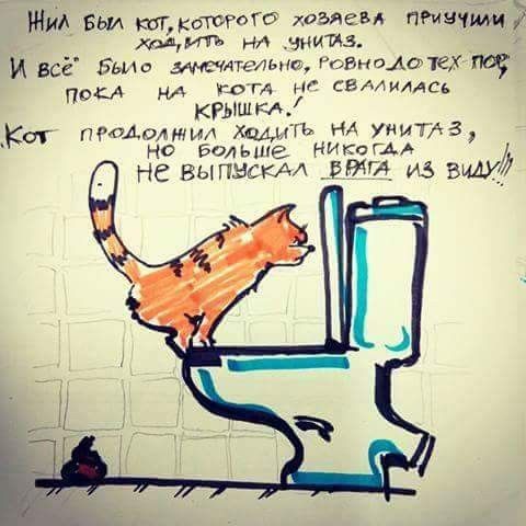 Жид Был юг катит хозяева пыщ НЛ НИЙЗ И всё Бьип малыша мамаши ПОКА ри тог ьт самими КРЫШкА Кот ПР0АОпн4ил жыть НА уиитлз НО Больше НИКаГАА не выписки этт из виш